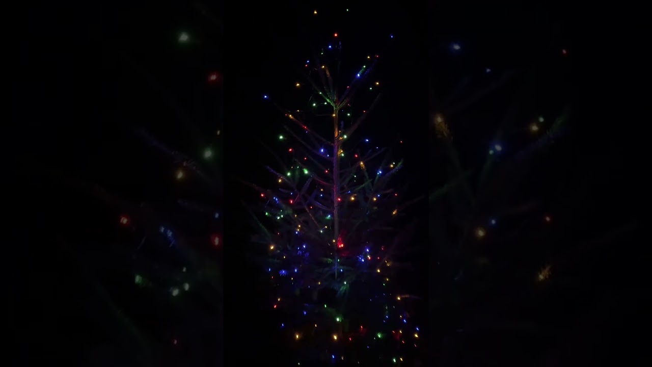 These solar powered christmas string lights are awesome, no more plugging in outdoor christmas