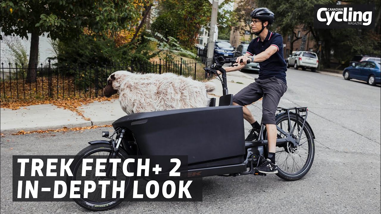 Trek Fetch+ 2: подробный обзор всех возможностей грузового электровелосипеда