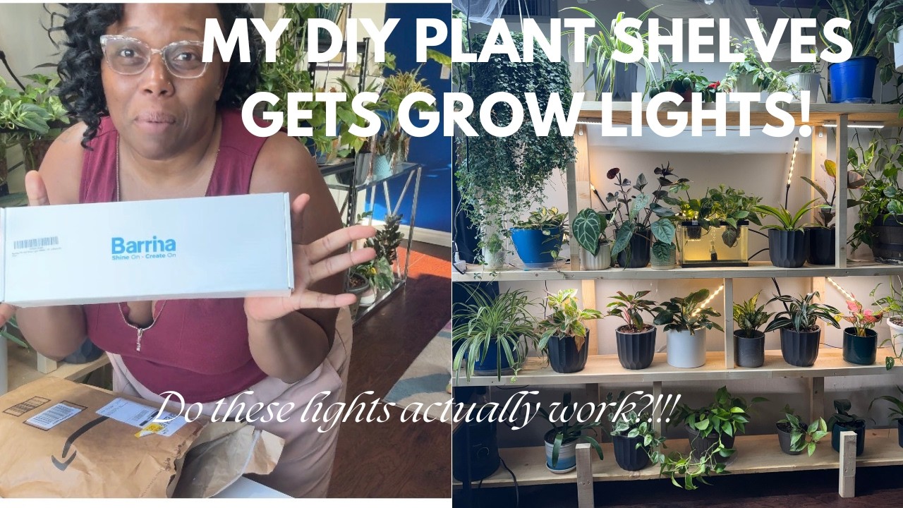 How I Installed Barrina Grow Lights on My DIY Plant Shelf | Easy Indoor Plant Lighting Setup