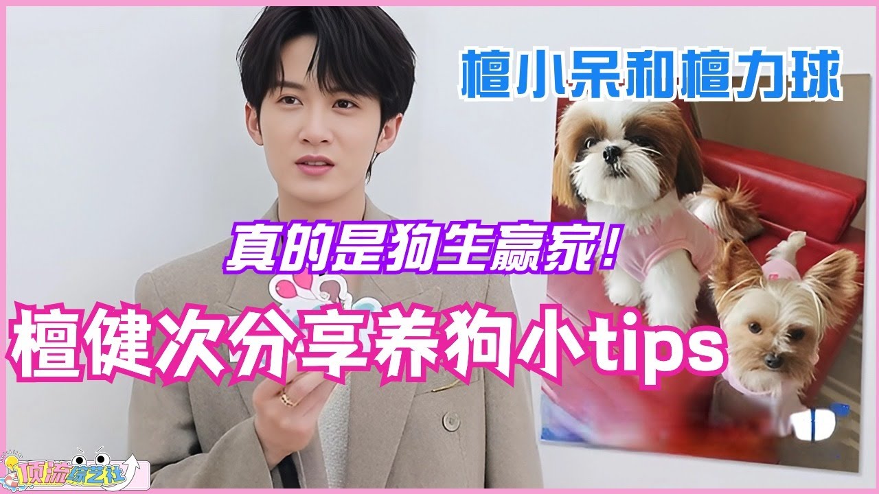 【MultiSub】檀健次分享养狗小tips 檀小呆和檀力球真的是狗生赢家！娱乐 | 综艺 | 搞笑 | 蒙娜丽莎 | 很想很想你 | 长相思 | 宠物