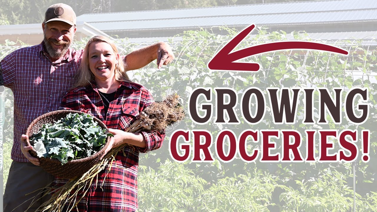 How We INCREASED our Food Production This Year | Garden Tour