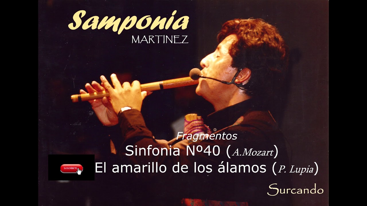 Samponia Martinez- Fragmentos Sinfonia Nº 40 (A. Mozart) - El amarillo de los álamos. (Pasual Lupia)