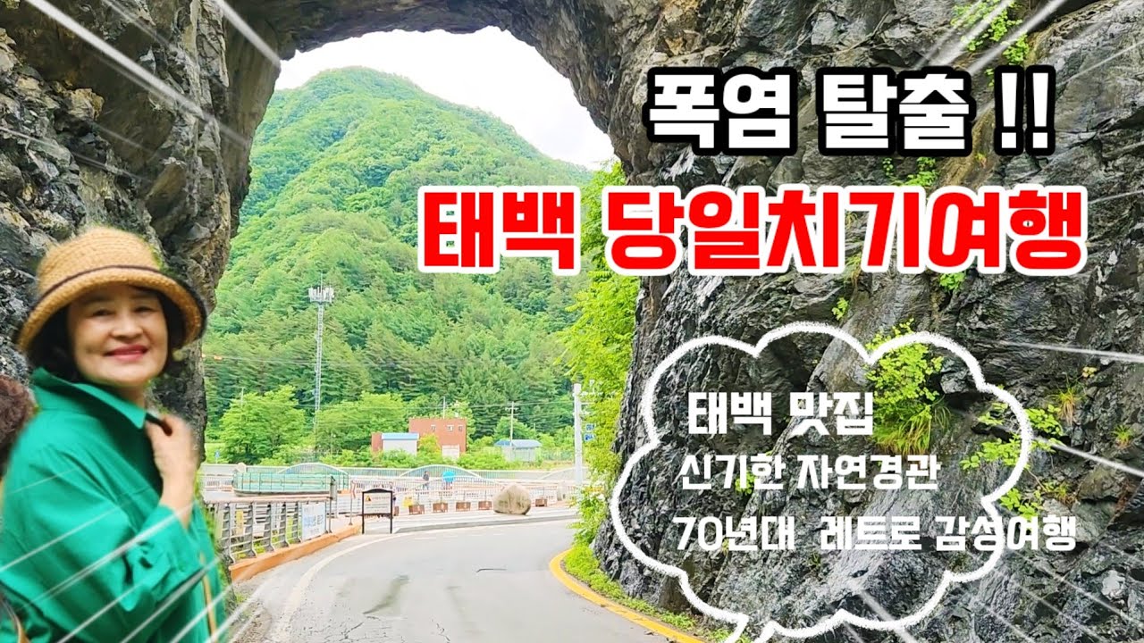 {태백여행} 폭염에 가기좋은 여행지-강원도 태백 당일치기여행!