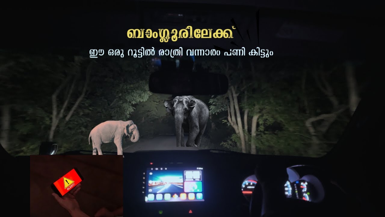കാട്ടിലൂടെ ബാംഗ്ലൂരിലേക്ക് ഒരു ഷോട്ട് കട്ട് | രാത്രി യാത്ര ചെയ്യാൻ പാടില്ല