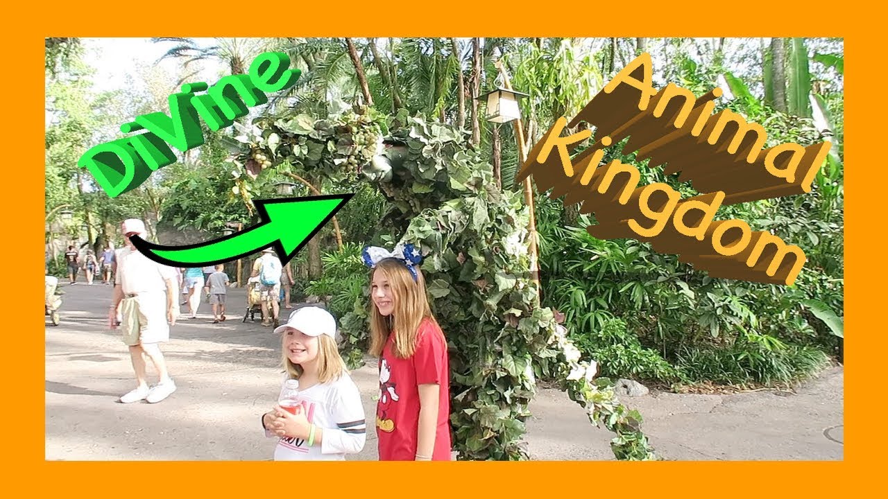 Family Disney Trip  Day 3  Animal Kingdom and Bonnet Creek Resort