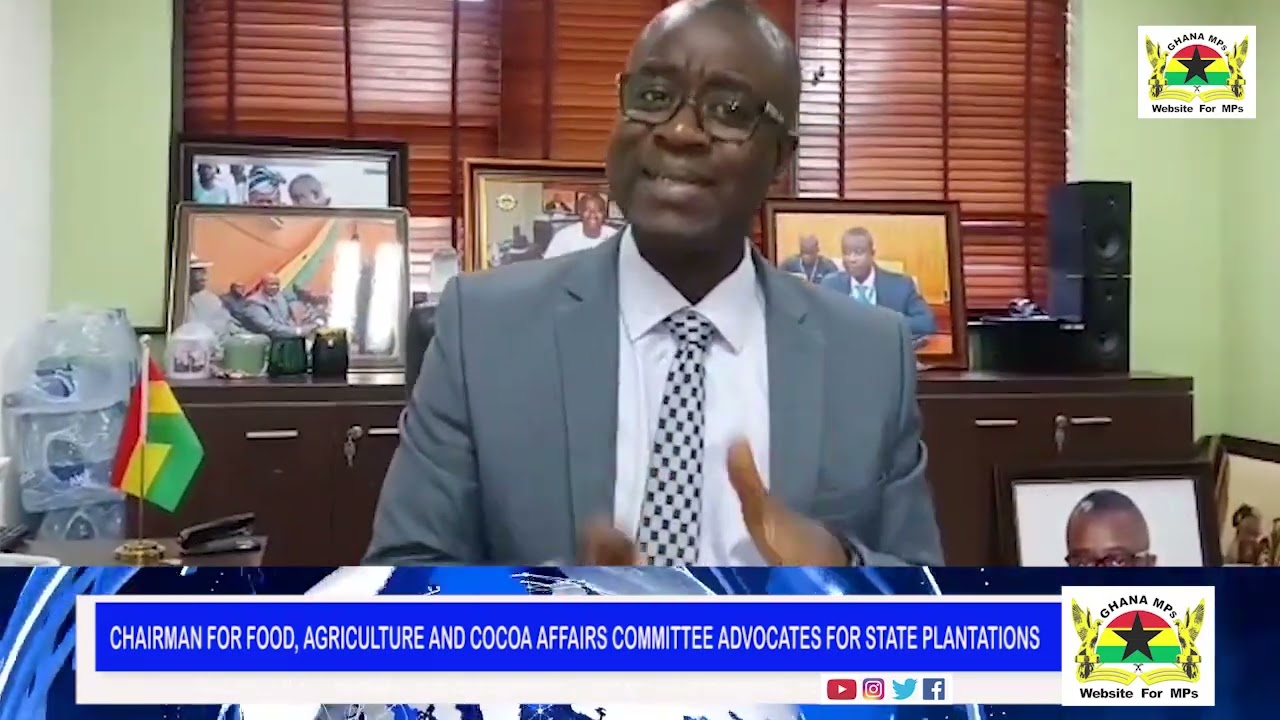 GHANAMP’s TV | CHAIRMAN FOR FOOD, AGRIC AND COCOA AFFAIRS COMMITTEE ADVOCATES FOR STATE PLANTATIONS