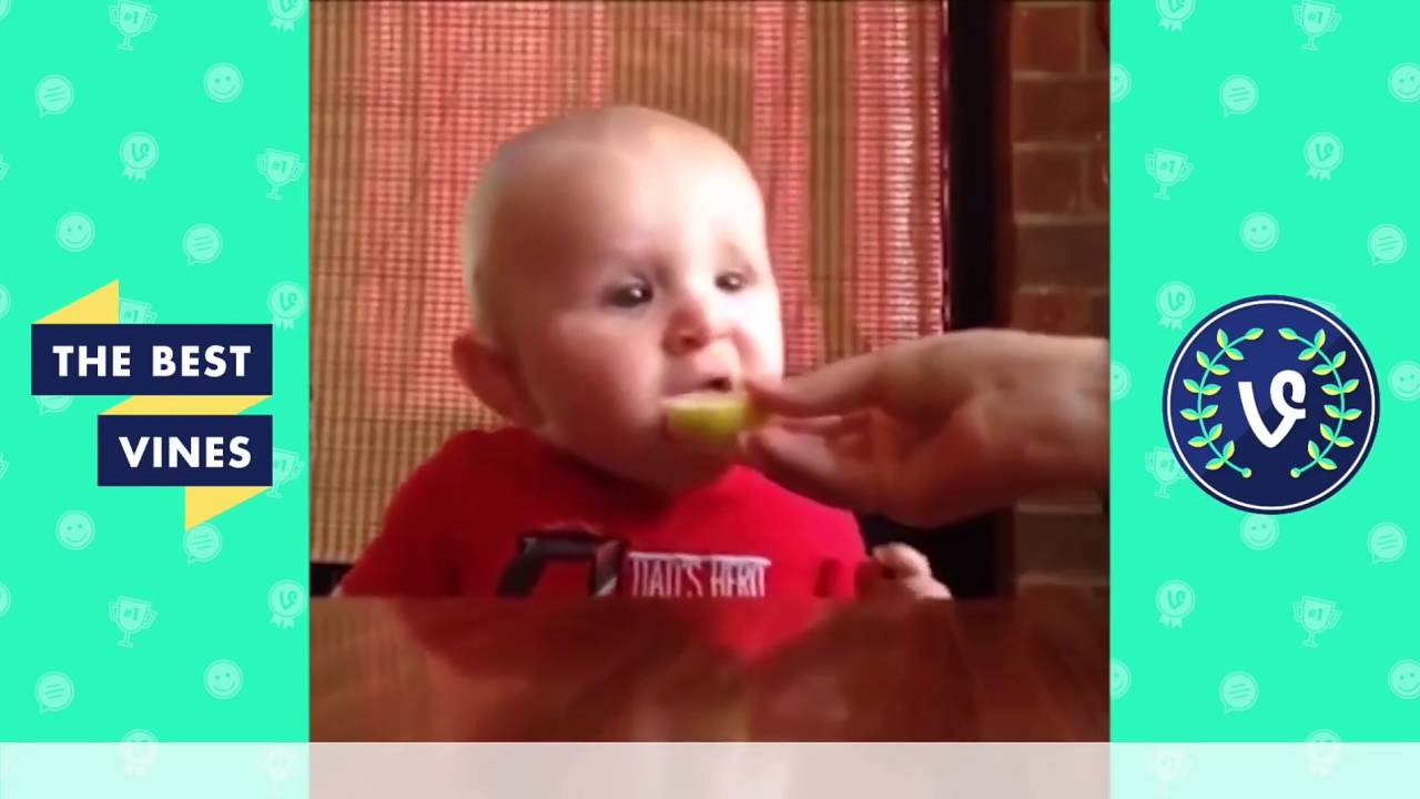 Best Fails Vine Compilation  Top Fail Vines August 2016