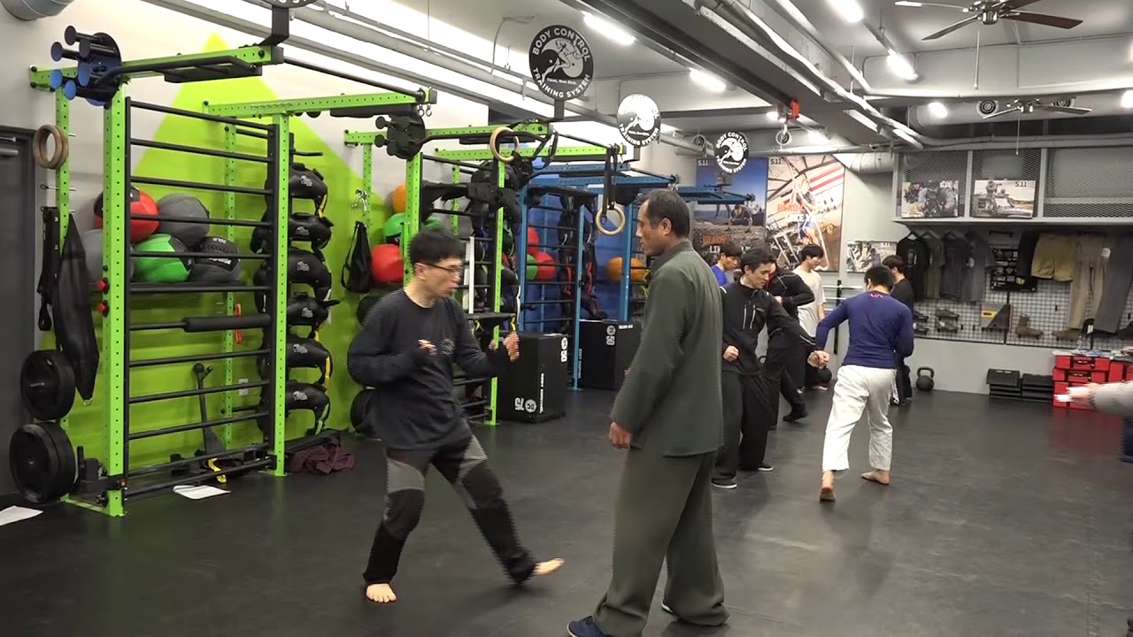 팔괘장 , 八卦掌 /   Baguazhang ,Footwork and side penetration -  보법과 측면침투