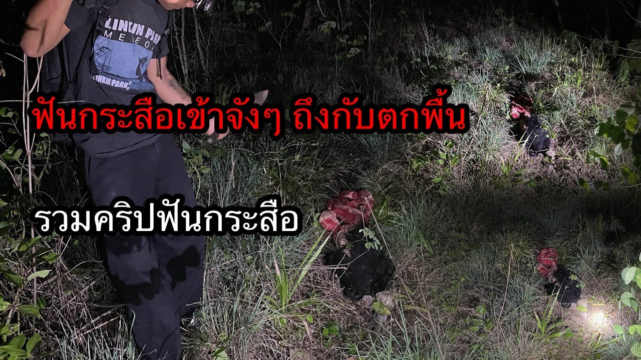 ฟันกระสือเข้าเต็มๆ ถึงกับตกลงฟื้น รวมคริป.!