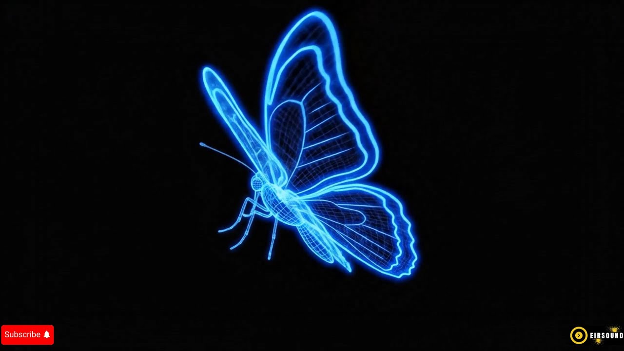 Fun Animals Appearing in 3D Hologram Video - Dolphin, Octopus, Cat