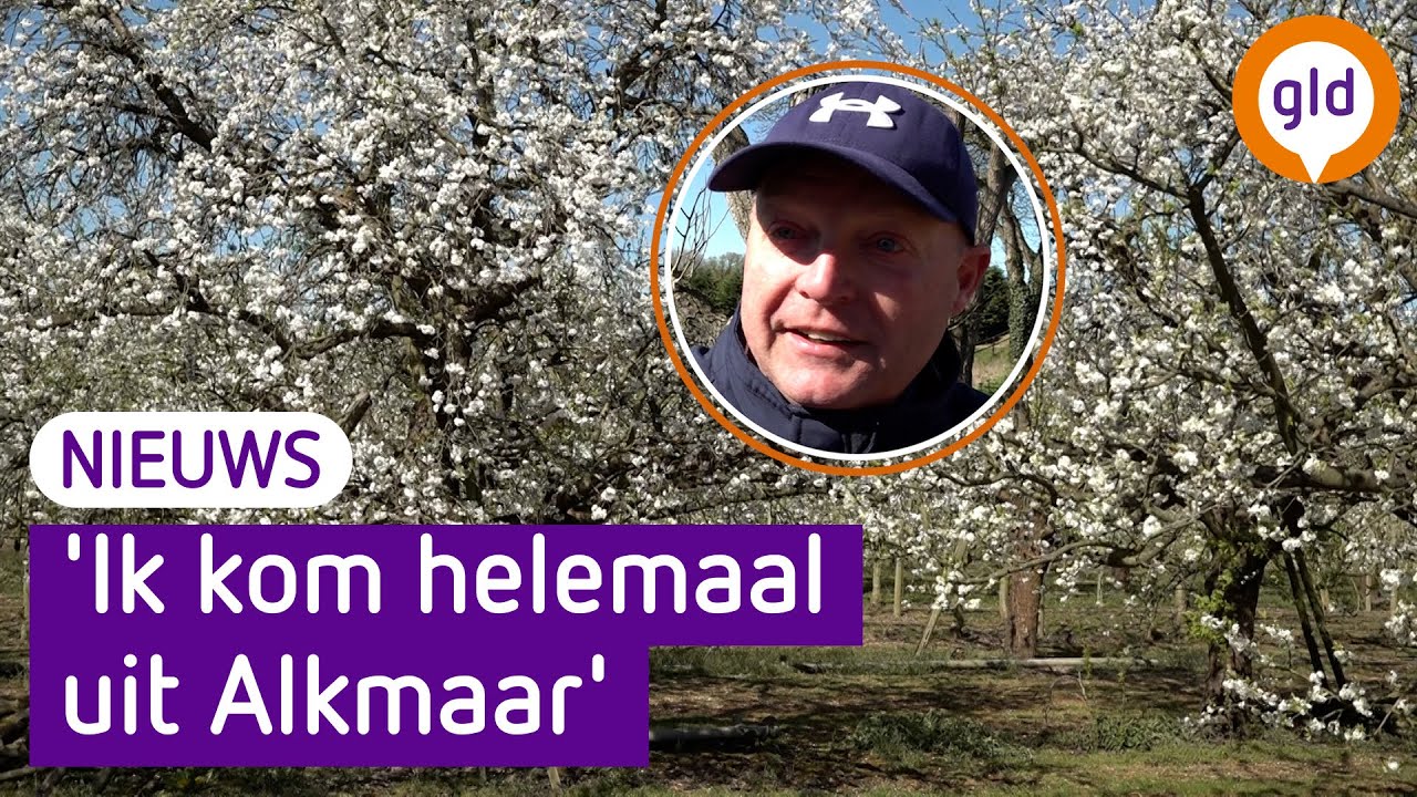 BETUWE overspoelt met dagjesmensen