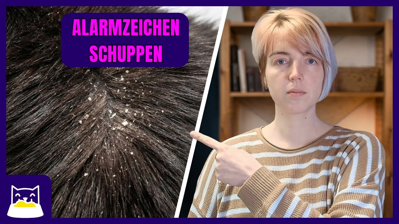 Deine Katze hat Schuppen und stumpfes Fell? (Wie »Schrottfutter« deiner Katze die Nährstoffe raubt)