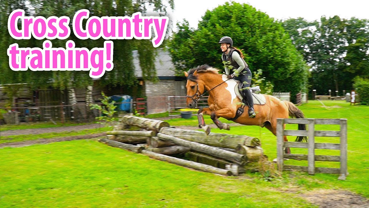 We Got a New Horse! + Marley’s First Cross-Country in 3 Years!