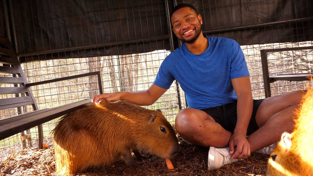 I Finally Pet a Capybara… at a Private Zoo!