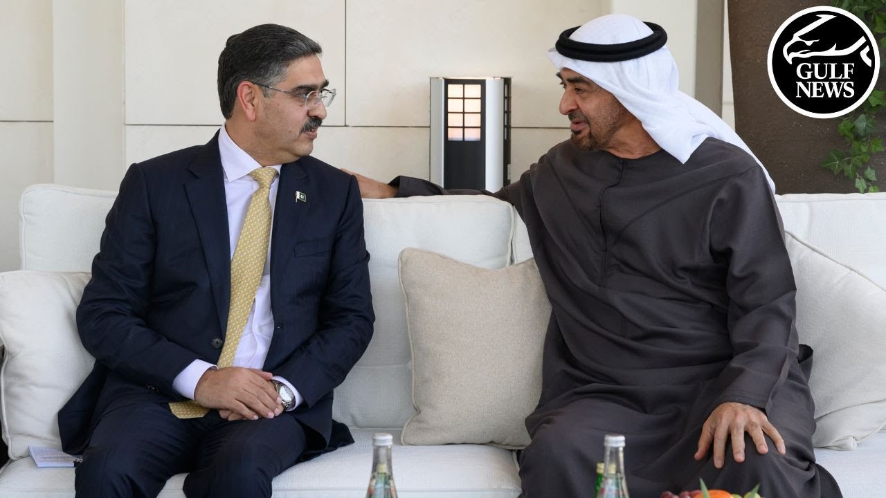 UAE President and Pakistani Prime Minister hold talks on bilateral relations