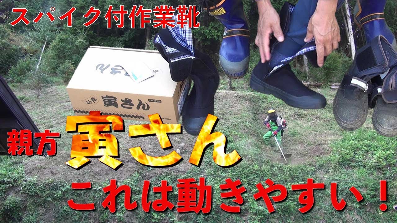 【草刈り用スパイク作業靴】この秋の裏山草刈り用に、スパイク付作業靴”親方　寅さん”を購入しました。