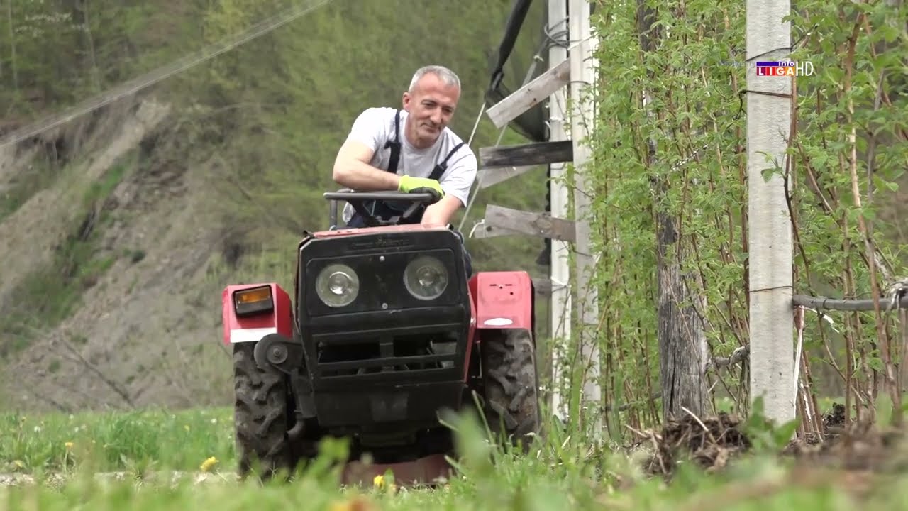 Maline u problemu, borovnice drže cenu