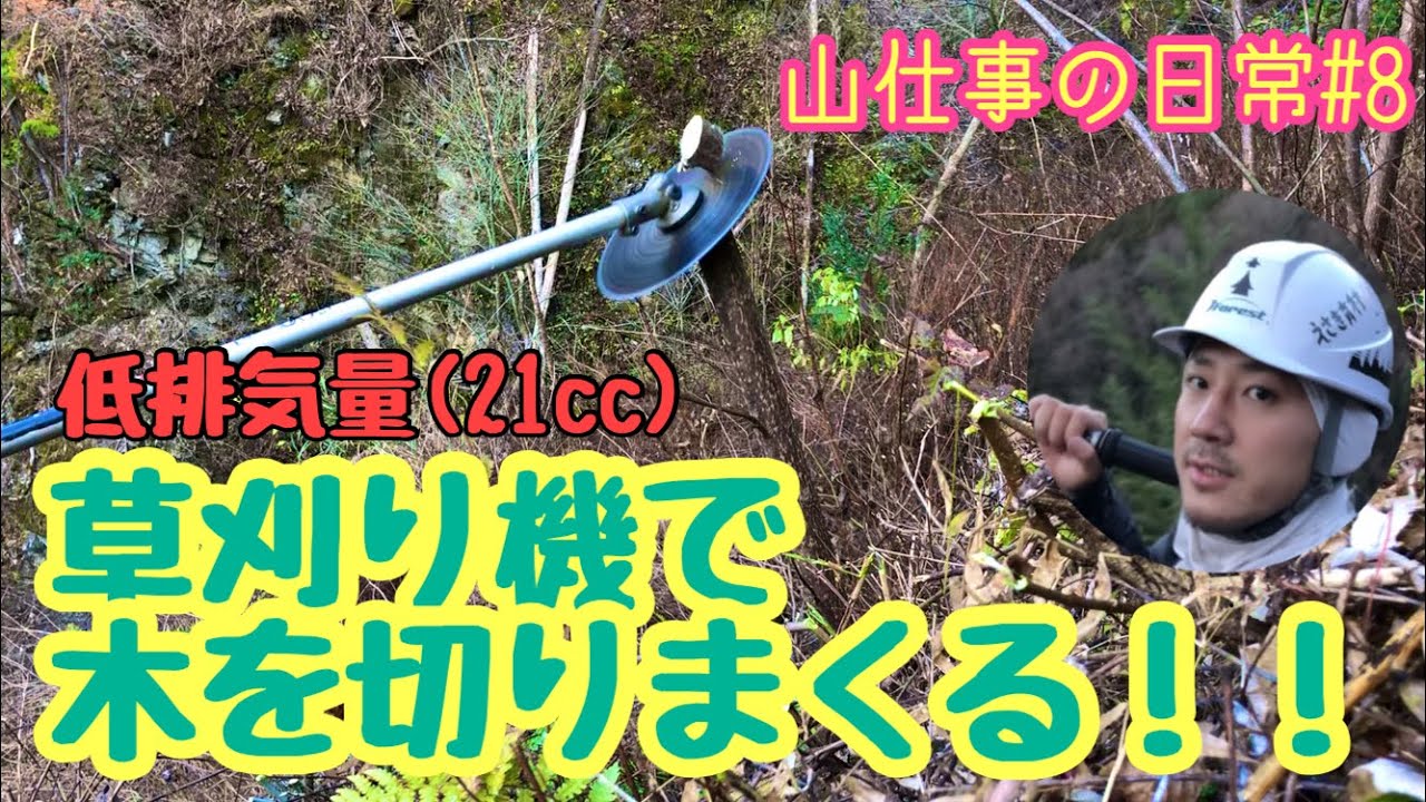 草刈り機で木を切りまくる！！山仕事の日常#8