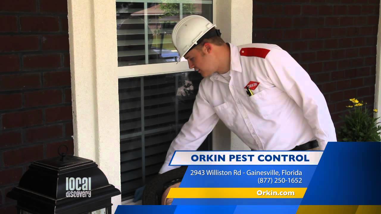 Local Discovery 03 - Orkin Pest Control