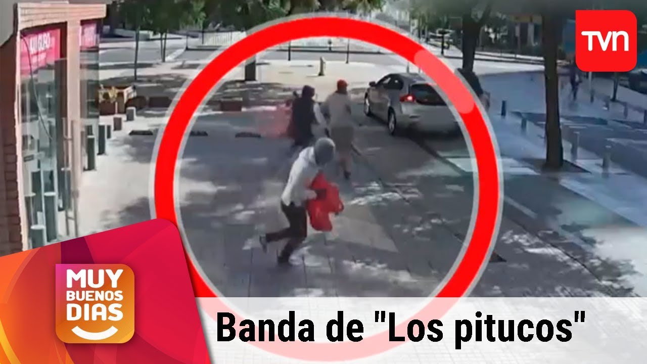Robaban millones en tres minutos: Así operaba la banda de 