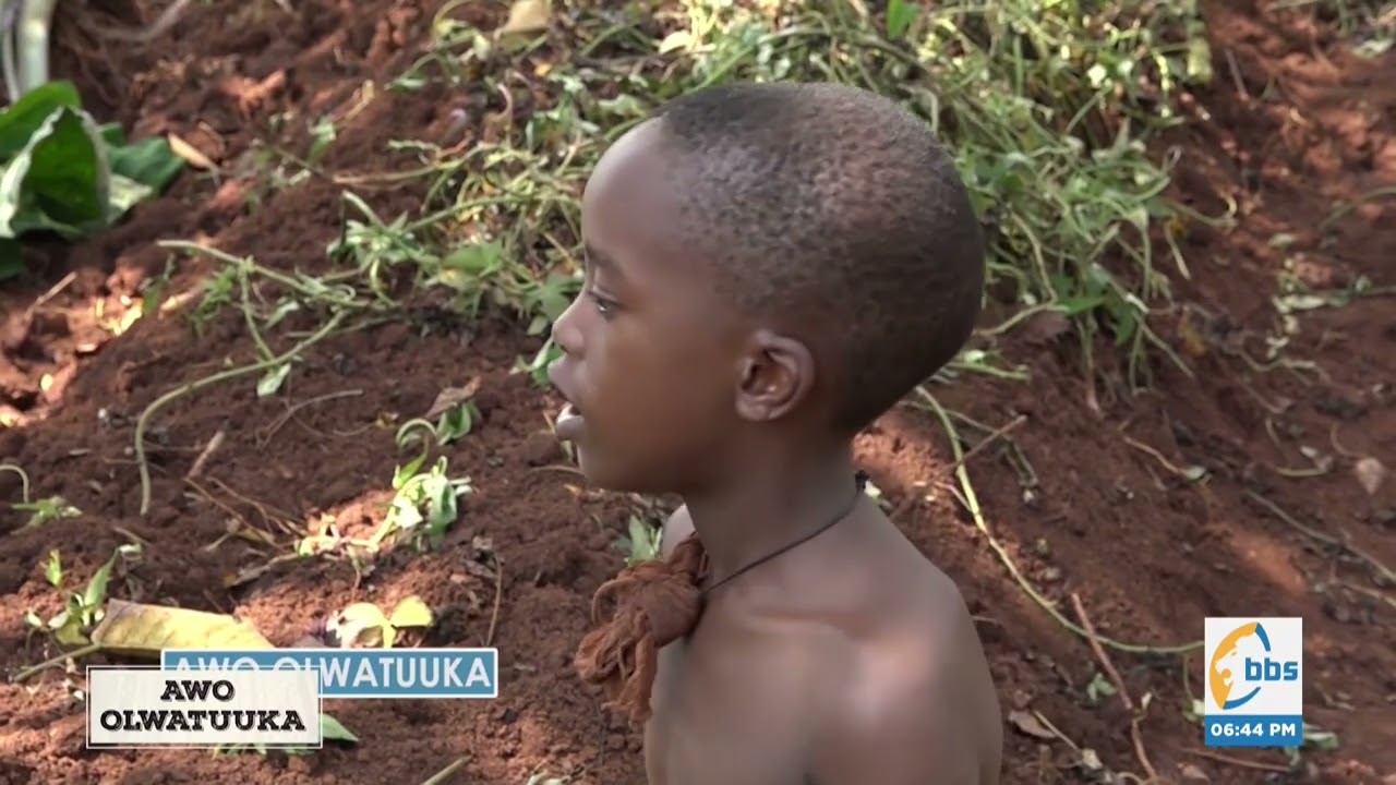 Nyumirwa engero za bajjajja ffe #AwoOlwatuuka