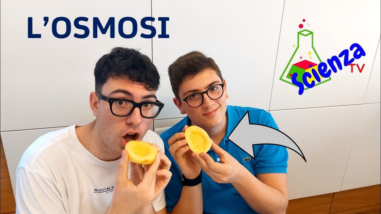 Esperimento con le PATATE 🥔🥔- l'OSMOSI