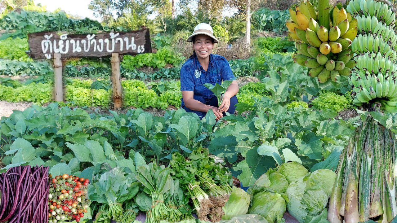 ยอดหญิงเกษตร!!เริ่มต้นด้วยเงิน3หมื่นมามีรายได้เดือนละหลายหมื่น