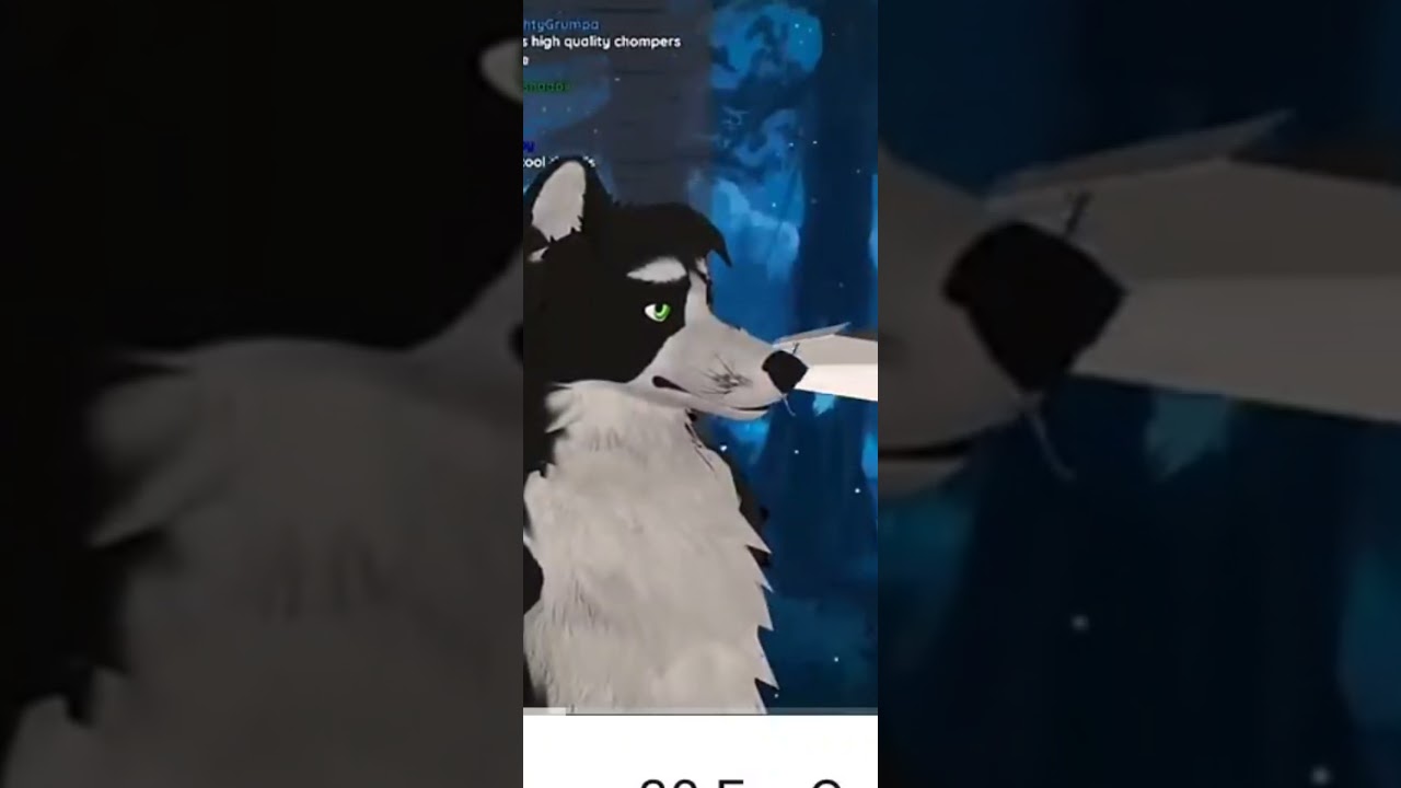 @SkuruWolf got spat at. #furry