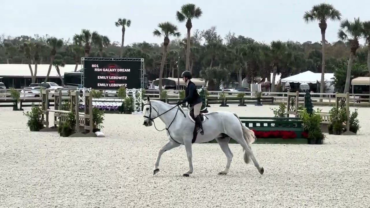 RSH Galaxy Dream - Venice Equestrian Tour VII - 3’3” A/O Junior Hunter 