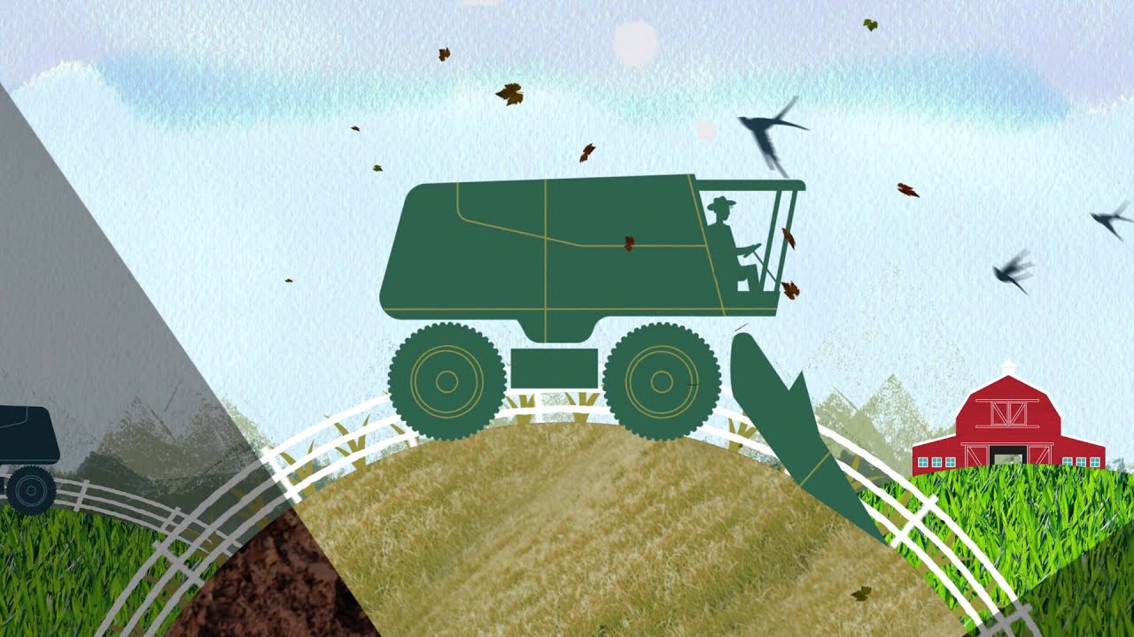 How to Maximize Revenue Protection On Your Farm with Price-Flex