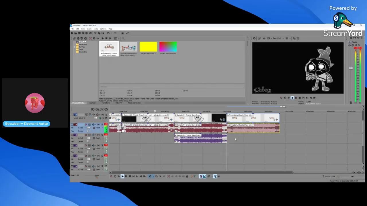 Sebastian0502's Birthday Live Stream