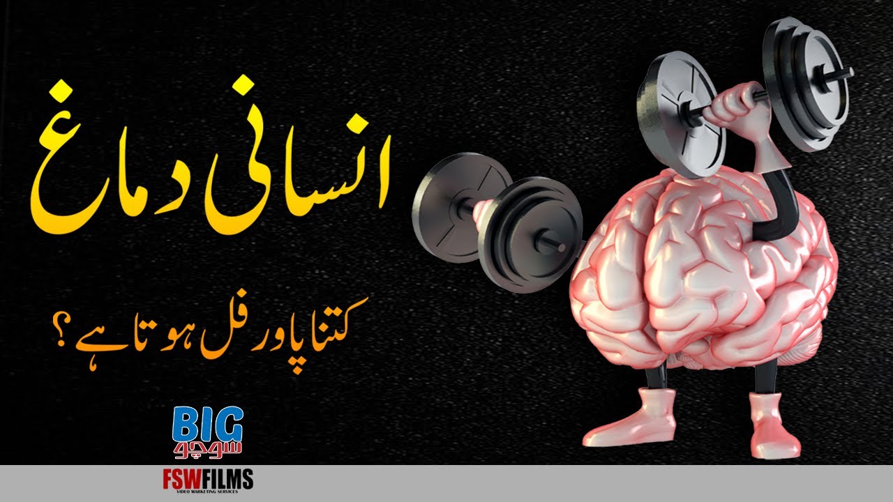 How Powerful is The Human Brain Compared to a Computer? | Faisal Warraich