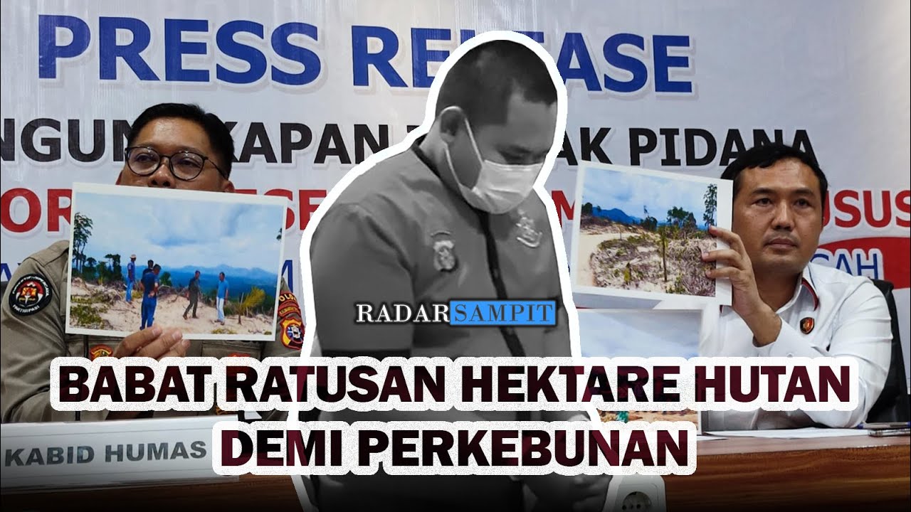 Polda Kalteng Tetapkan Tersangka Pembabat Hutan Ratusan Hektare, Kerugian Capai Rp210 Miliar