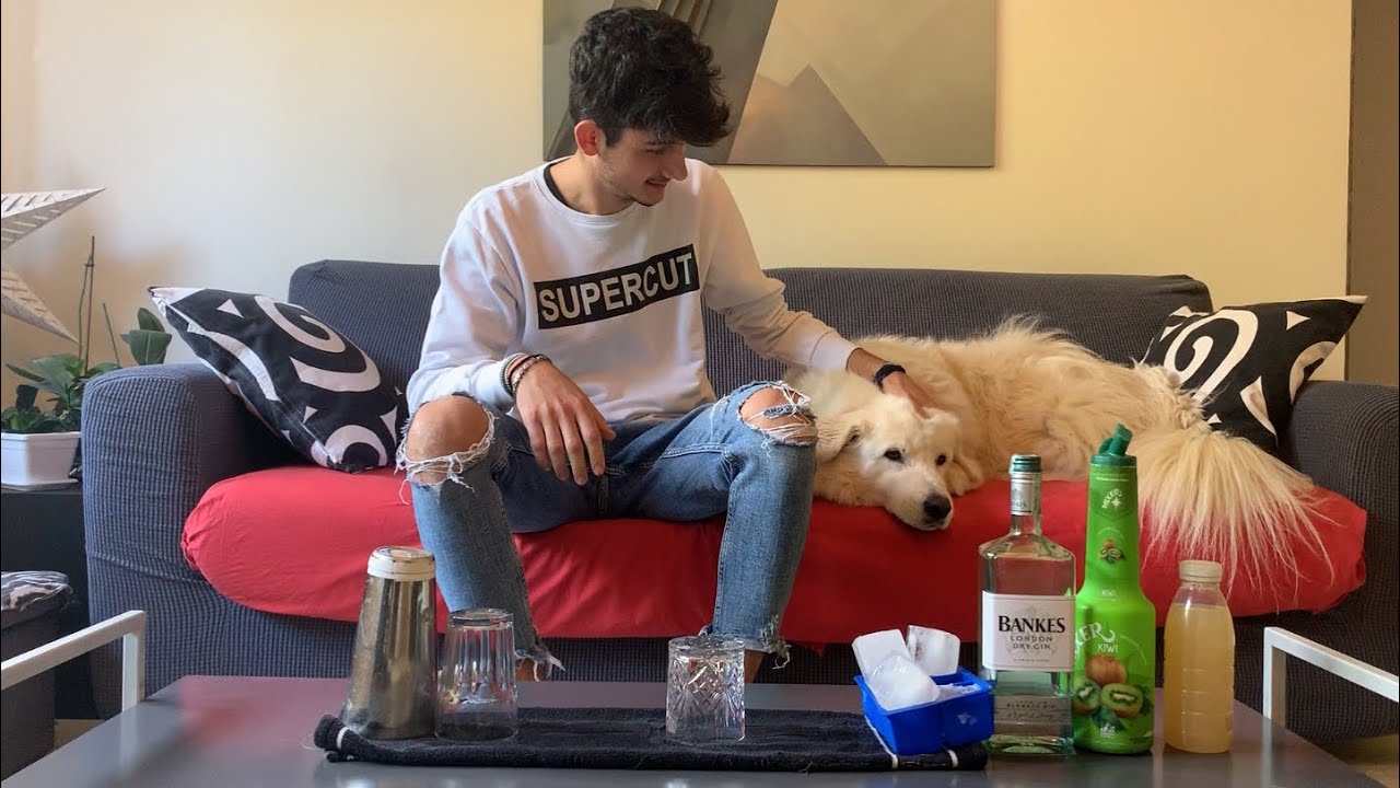 P&euml;rgatitja Cocktail Ke Shpia🐶 Tutorial Shqip🌟🇦🇱🍸- BARMAN - Jurgen Hakani