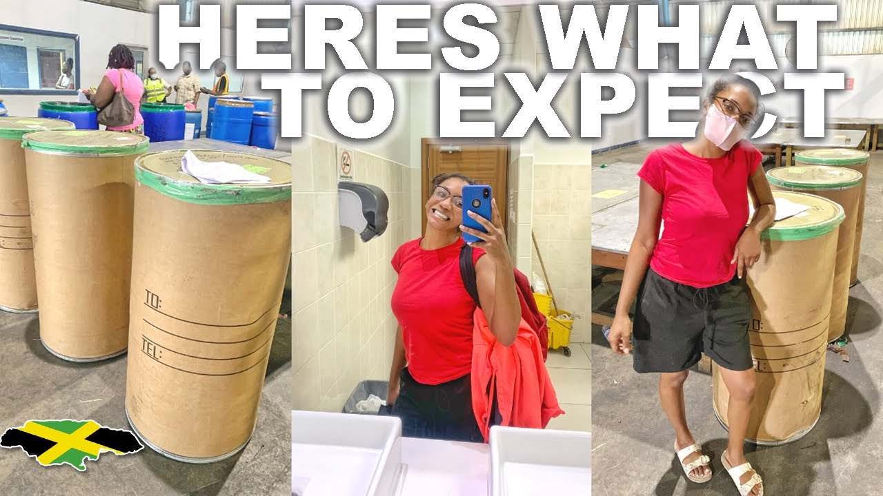 COME TO THE WHARF IN JAMAICA (vlog) how to prepare, my experience + shipping tips | Annesha Adams