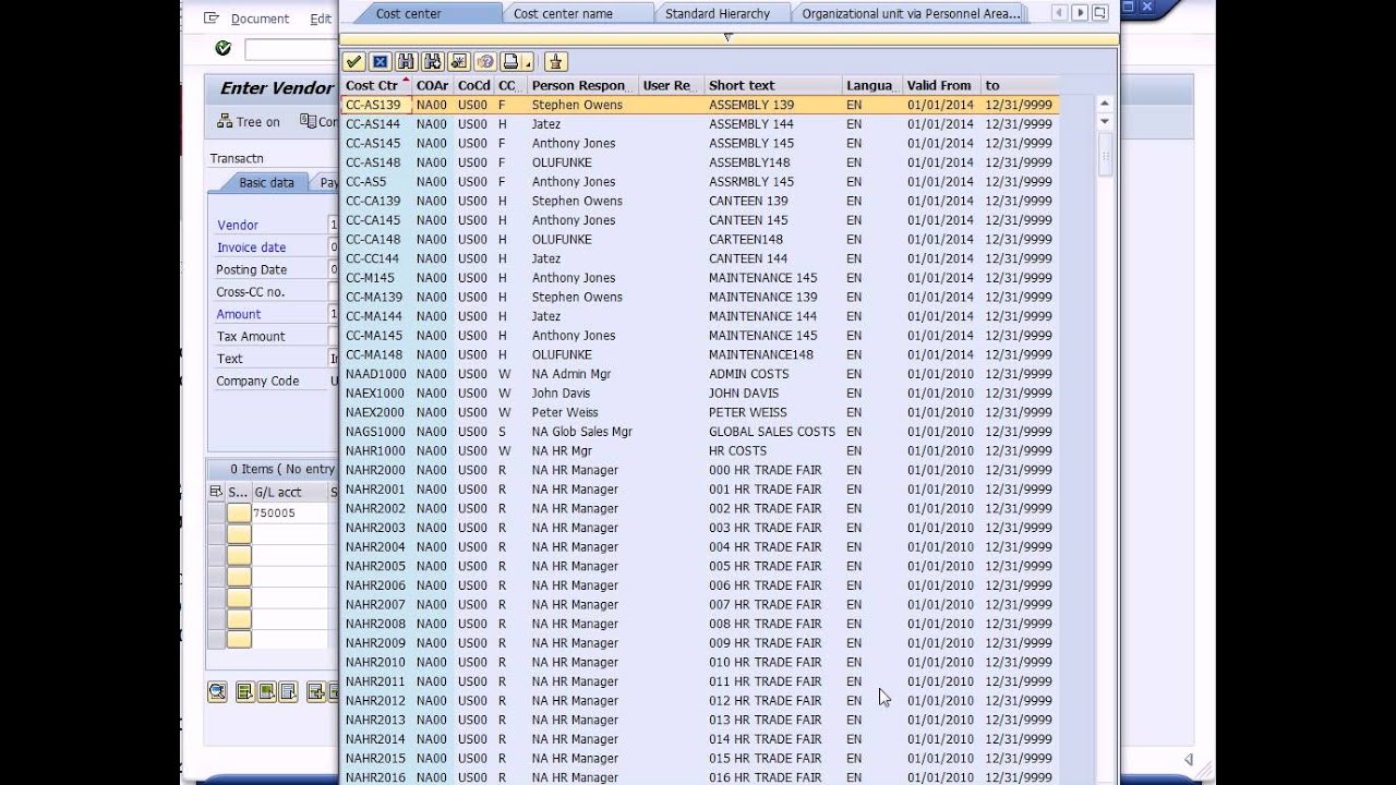 SAP Financial Accounting