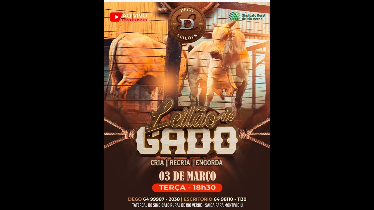 LEILAO DE GADO  03 - 03 - 2026 - Sindicato Rural de Rio Verde - Dêgo Leilões