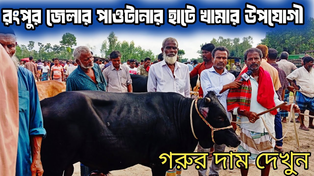 @রংপুর জেলার পীরগছা উপজেলার পাওটানার হাটে