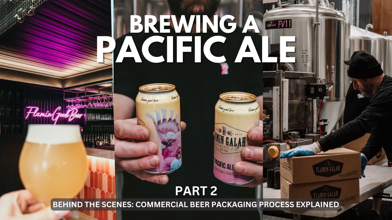 Pacific Ale Brew Day Part 2 | Dry Hopping, Dumping a Cone & Canning Beer Processes