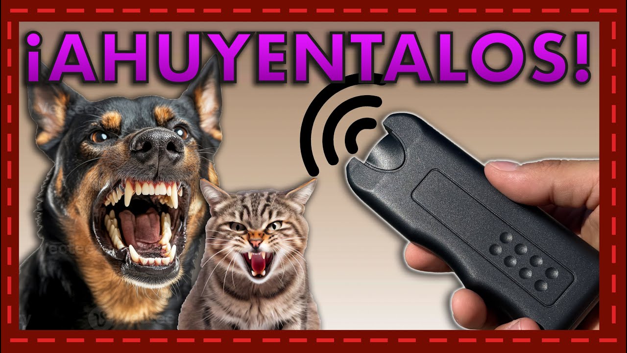 ¡Ahorra problemas! Cómo funciona el ahuyentador ultrasónico para gatos y perros 🐶🐱🔊
