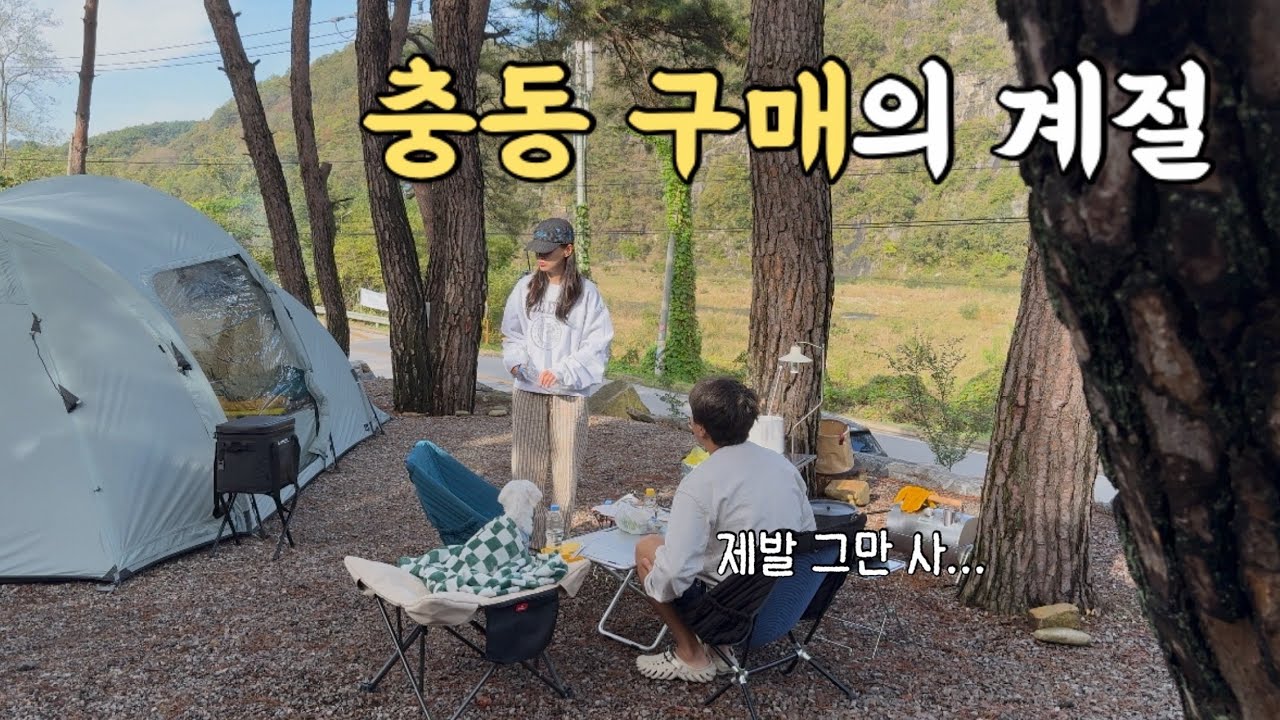 가을 맞이🍂 가성비와 가심비의 충동구매 아이템💸 | 영월 한반도캠핑장