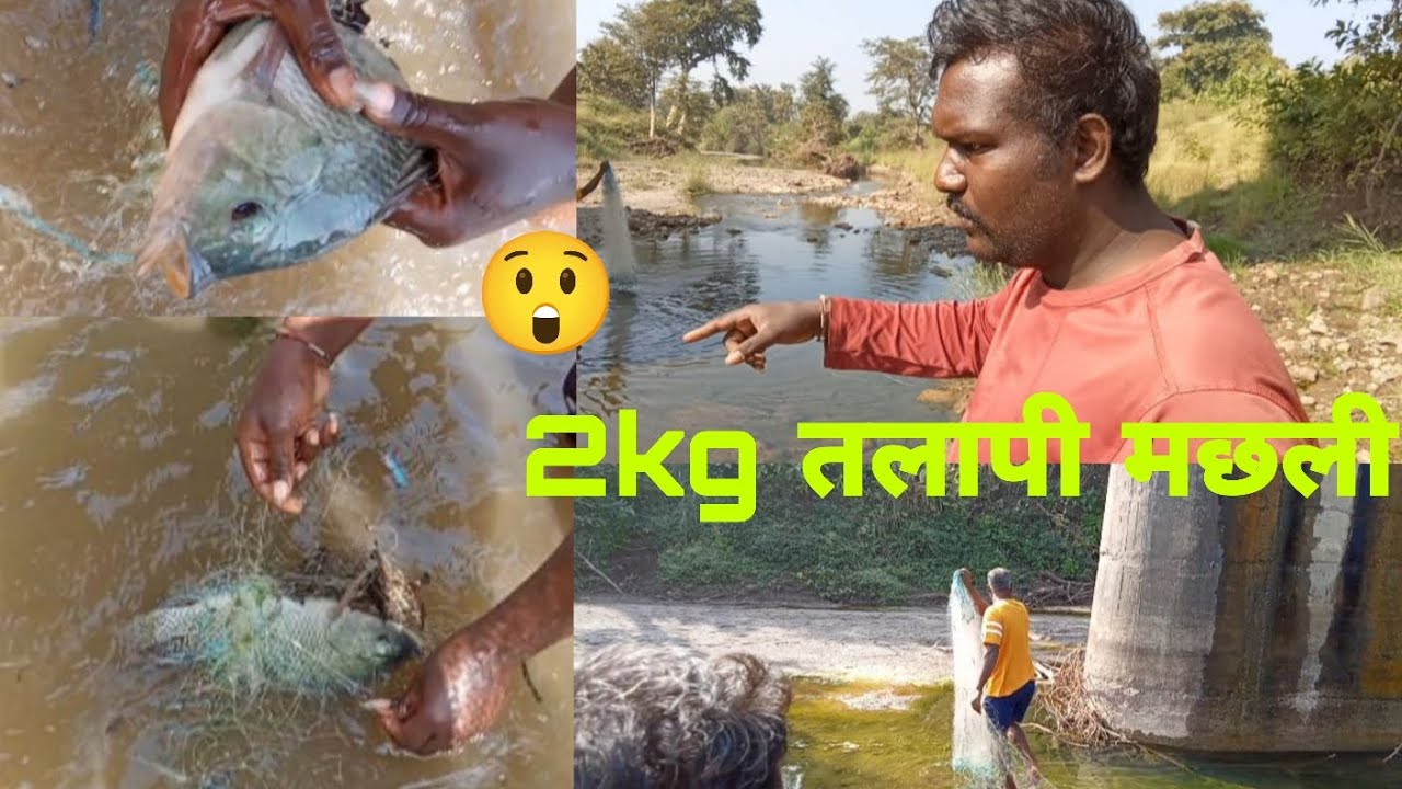 दो दो किलोकी तलापी मछली 😱 बारे बारे 