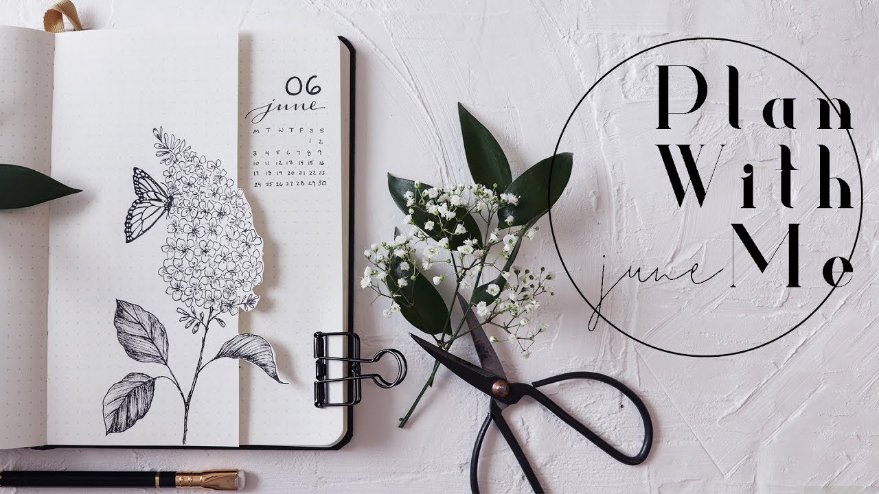 Plan With Me | June 2019 Bullet Journal Lilacs