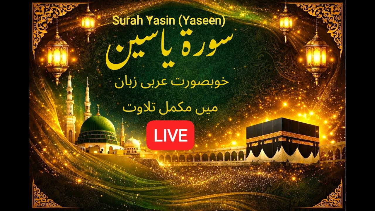 LIVE - Surah Yasin (YASEEN)  Arabic Tilawat