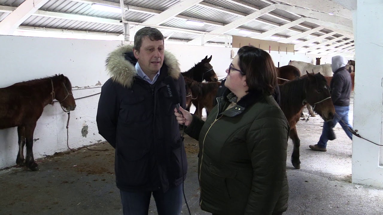 Entrevista al José Ramón Feito, alcalde de Tineo / El Campo de Asturias