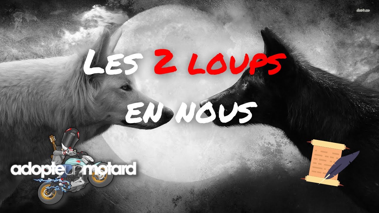 Le combat entre le bien et le mal (On a 2 loups en nous)