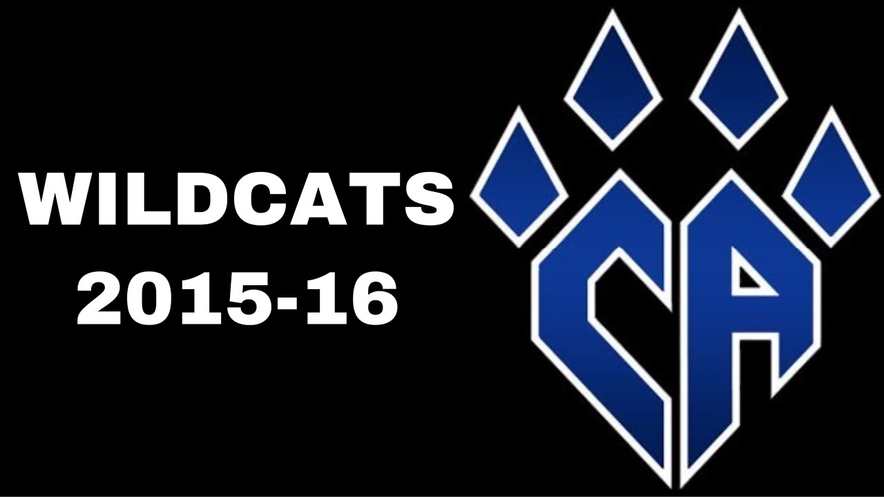 Cheer Athletics Wildcats 2015-16 (Audio)