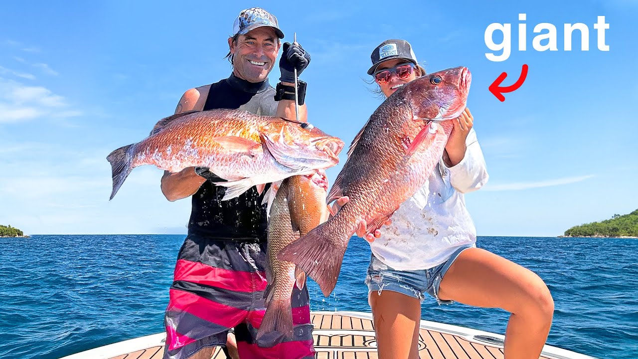 Hunting Massive  Snapper for Dinner!