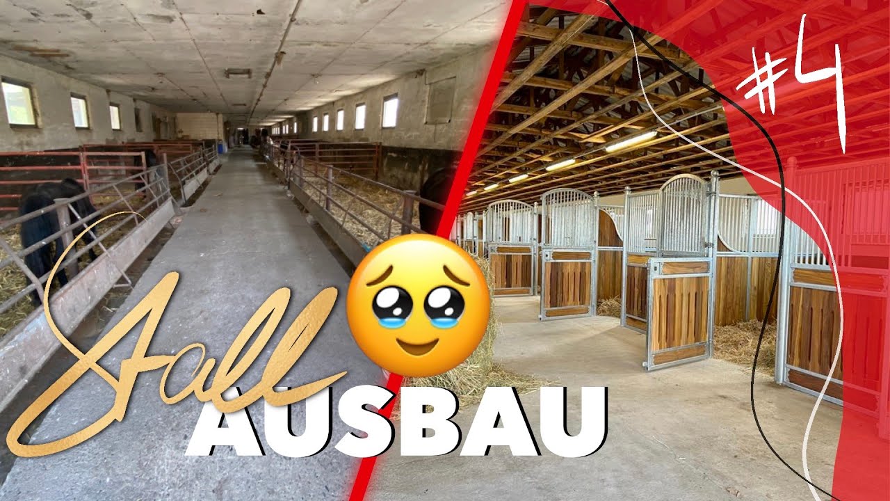 🤩 Einbau & EINZUG in den NEUEN Stall 😍 | Stallbau-Reihe Teil 4