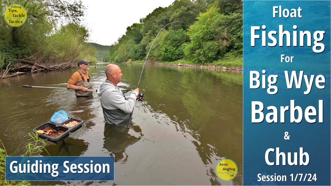 Fishing The Wye For Big Barbel & Chub - Fantastic Fishing - Avon Angling - Guiding Session - 1/7/24